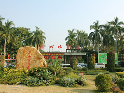 大型户外活动场地--广州华南植物园